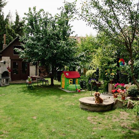 Lomnice nad Lužnicí Podkrovni Apartman S Vyhledem Na Namesti מראה חיצוני תמונה